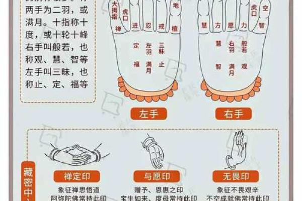 全国5大有趣的指纹算命口诀