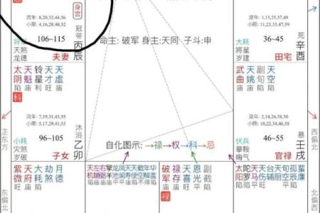 紫薇夫妻宫详解