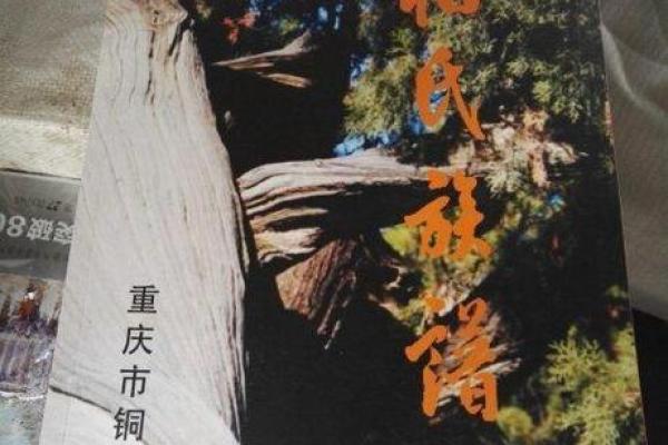 柏姓男孩名字大全-柏姓男孩起名字大全-柏姓名字大全姓名