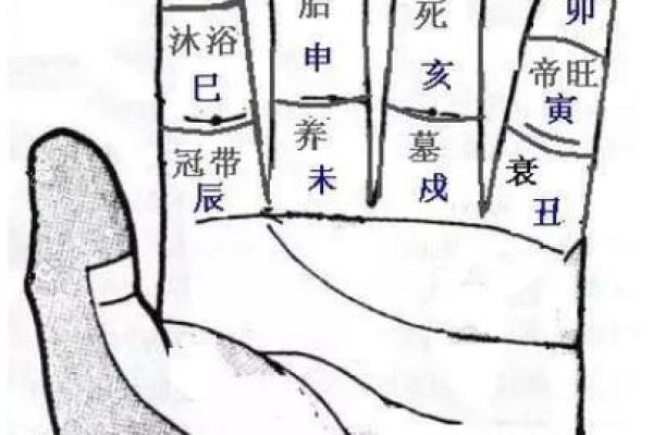 圆形手指算命 圆形手指算命