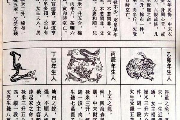 算命里衣禄是什么意思