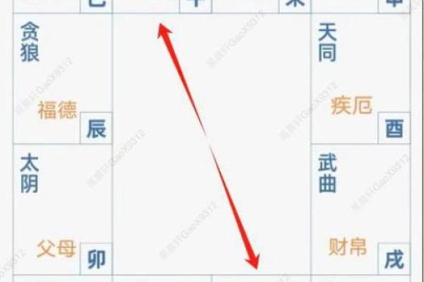 紫薇斗数华盖在官禄宫