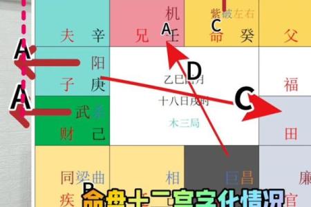 台湾紫微斗数小限派 紫微斗数小限排盘？