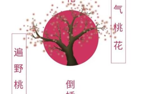 算命说今年犯倒插桃花