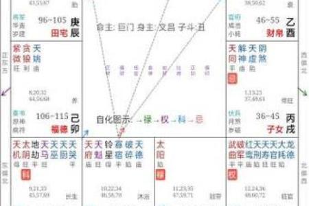 紫薇斗数巨门天喜在子女宫