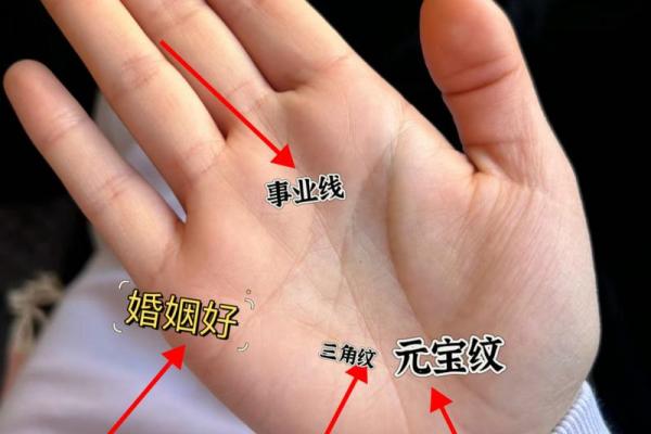 看手相算命图解