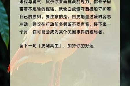 根据名字测试你是什么动物  本命动物测试