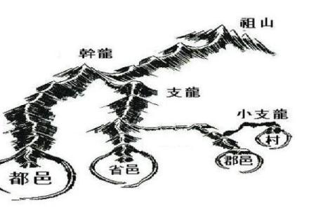 香港紫薇斗数高人