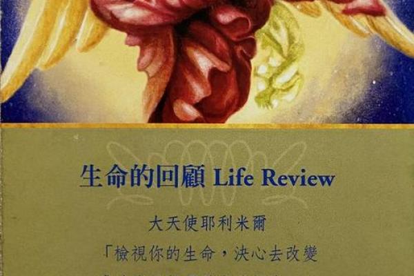 神叨酱：3.31日心灵运势测试