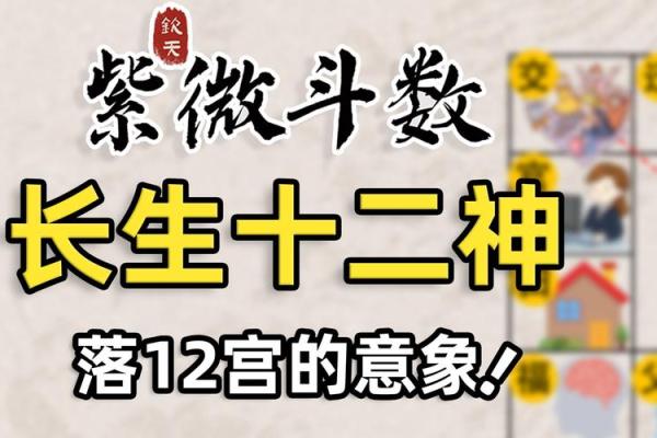 紫薇斗数双色球