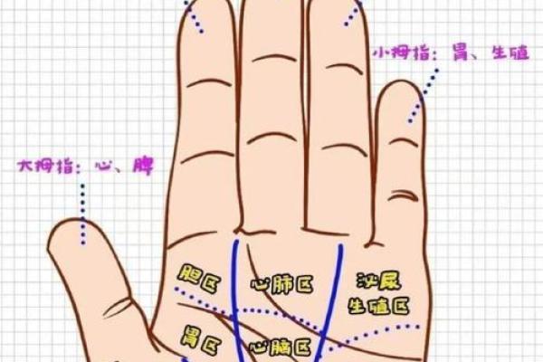 男士手相算命 男士手相算命