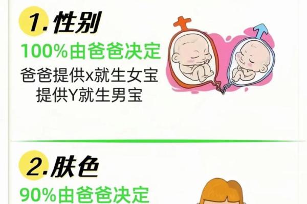 哪些风水因素关乎人们生男或生女呢-