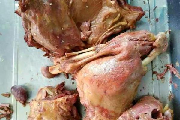 哪些人八字中不宜吃狗肉