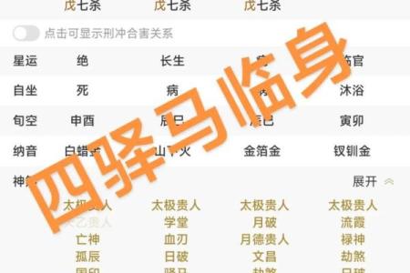 八字命盘中绿马是什么意思