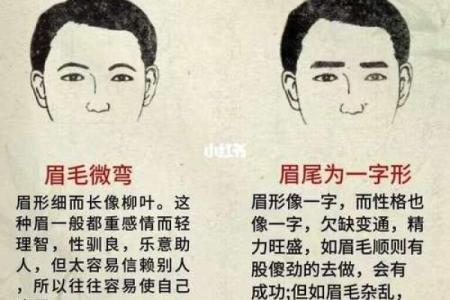 风水面相哪三种眉毛男人最好命
