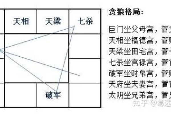 看紫薇斗数贪狼 看紫薇斗数贪狼