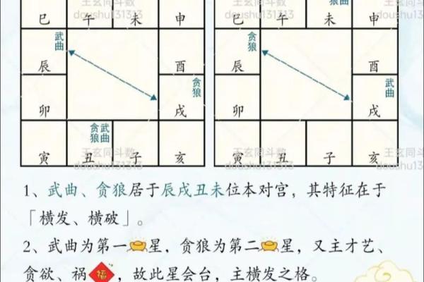 看紫薇斗数贪狼 看紫薇斗数贪狼