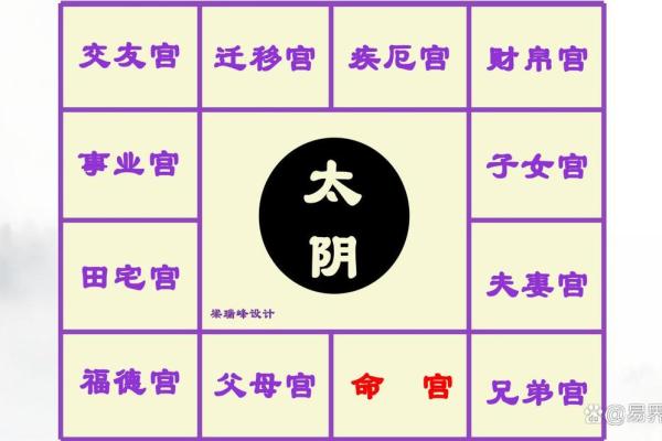 紫微斗数诸星落诸宫之：太阴星子女宫详解