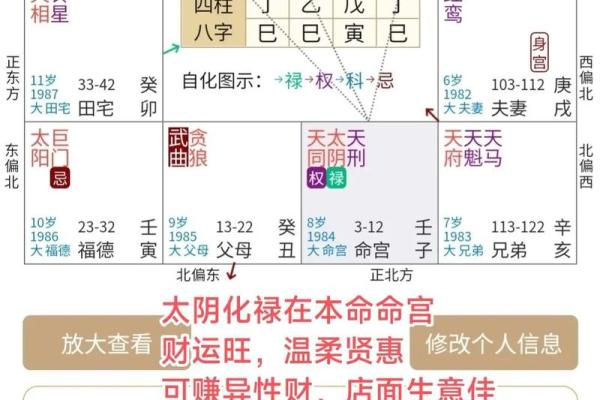 紫微斗数财运为负 紫微斗数看财运级别？