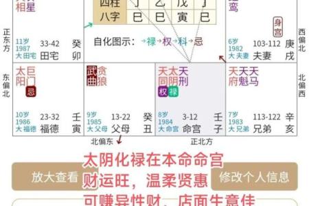 紫微斗数财运为负 紫微斗数看财运级别？