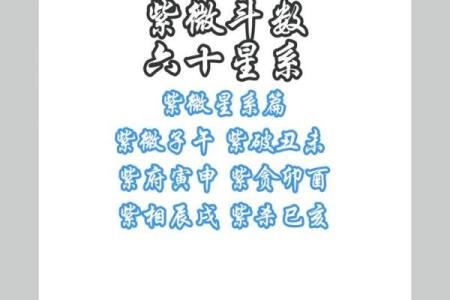 紫薇星系财富星星怎么看