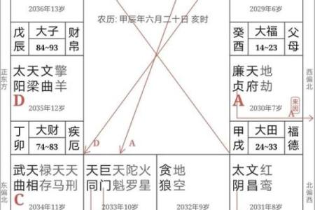 紫薇斗数全解PDF的简单介绍