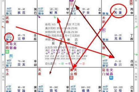 紫薇斗数先天盘