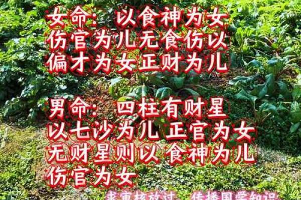 算命的说身上有婴灵 竟是真的存在