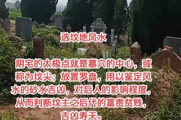 坟墓风水,把握这些后代定富贵 坟墓风水,把握这些后代定富贵