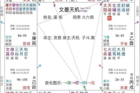 紫微斗数之命例推演：例二　命盘见后