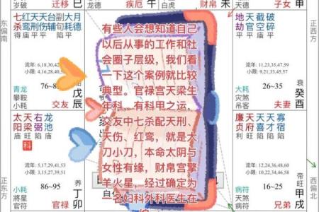 紫薇斗数工作怎么看