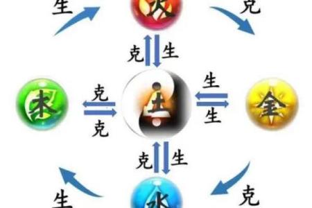 八字木火为用神