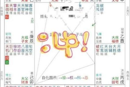 紫薇斗数算晚年