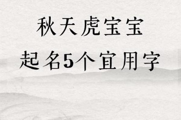 取名网免费姓名测试,虎宝宝取名心字好不好