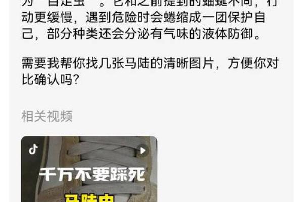 家里风水_家里突然出现多个潮虫是什么征兆