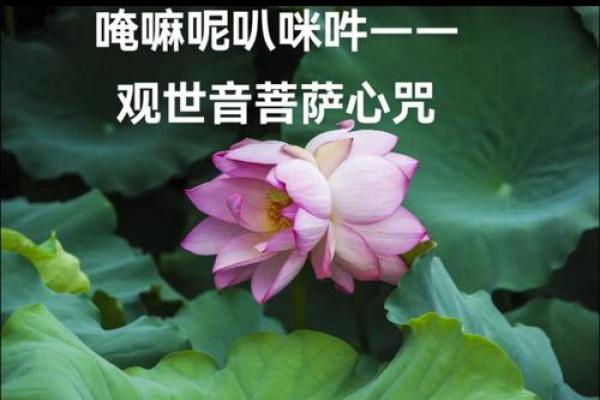 千手观音菩萨心咒含义