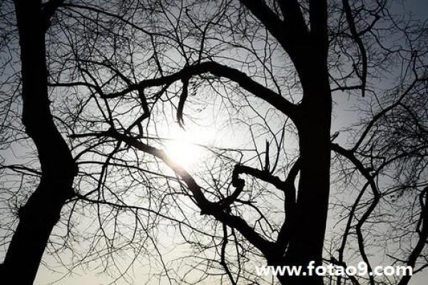 梦见算命说我身体不好