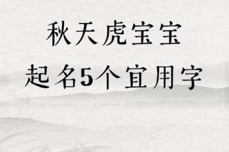 取名网免费姓名测试,虎宝宝取名心字好不好