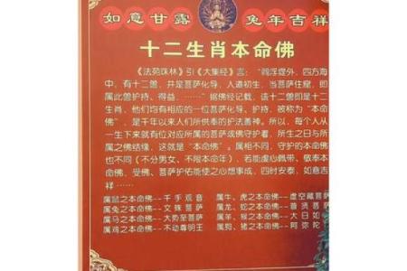 淅川县算命好的是谁