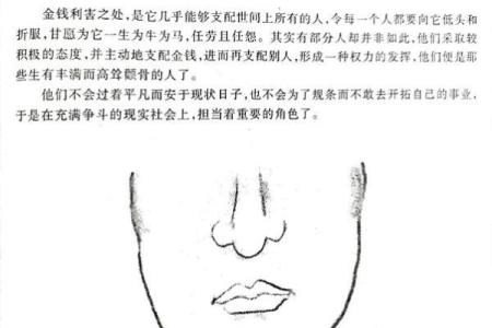颧骨面相算命
