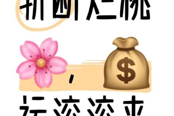 算命说今年倒插桃花 算命说今年倒插桃花