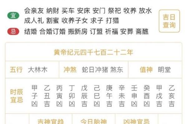 八字己巳大运是什么运势