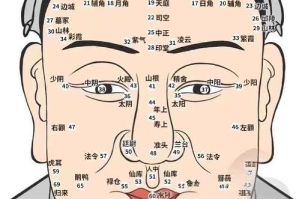 面相黑痣算命图解 面相黑痣算命图解
