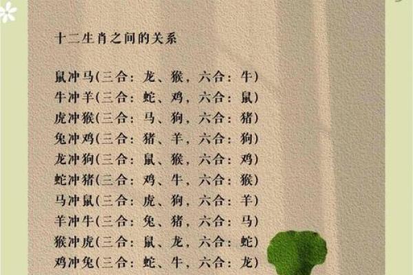 八字卯酉冲如何化解