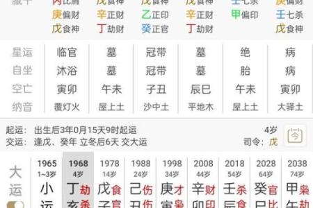八字己巳大运是什么运势