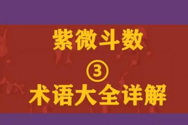 紫微斗数推广价值 紫微斗数专业术语? 紫微斗数推广价值 紫微斗数专业术语?