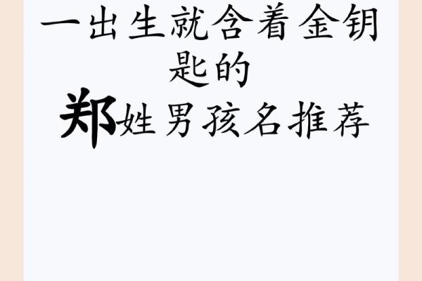 郑姓男孩名字大全-郑姓男孩起名字大全-郑姓名字大全姓名 郑姓男孩名字大全-郑姓男孩起名字大全-郑姓名字大全姓名