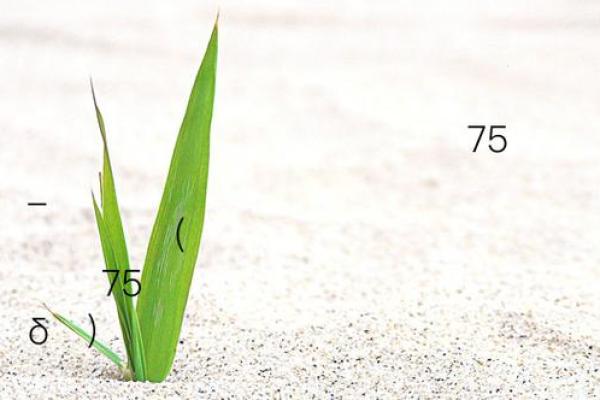 泉州关帝灵签32