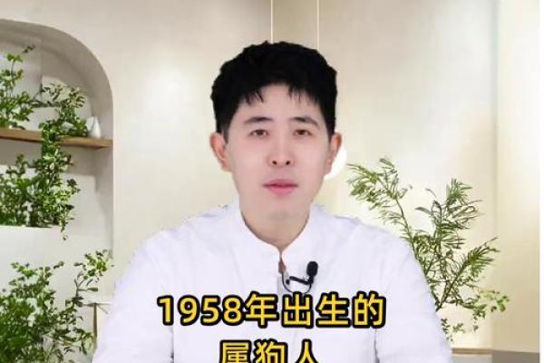 属狗子时出生的男孩该如何起名，宜用哪些字姓名