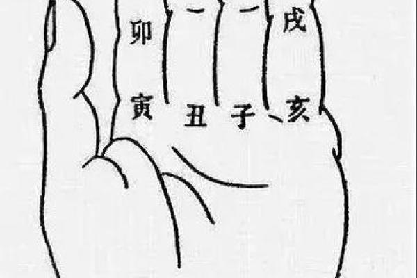 紫薇斗数测股票